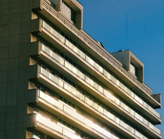 pexels-murun-e-2158048371-35123407